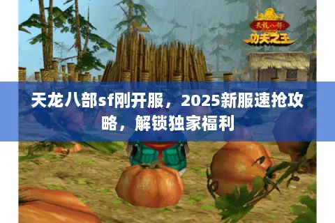 天龙八部sf刚开服,2025新服速抢攻略,解锁独家福利 天龙八部sf刚开服,2025新服速抢攻略,解锁独家福利