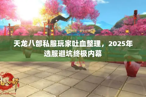天龙八部私服玩家吐血整理，2025年选服避坑终极内幕