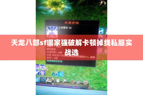 天龙八部sf哪家强破解卡顿掉线私服实战选