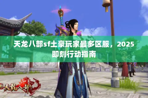 天龙八部sf土豪玩家最多区服，2025即刻行动指南