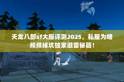 天龙八部sf大服评测2025，私服为啥频频掉坑独家避雷秘籍！