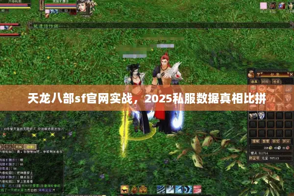天龙八部sf官网实战,2025私服数据真相比拼 天龙八部sf官网实战,2025私服数据真相比拼