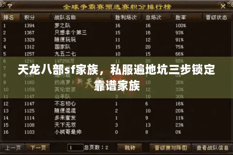 天龙八部sf家族，私服遍地坑三步锁定靠谱家族