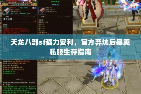 天龙八部sf强力安利，官方弃坑后暴爽私服生存指南