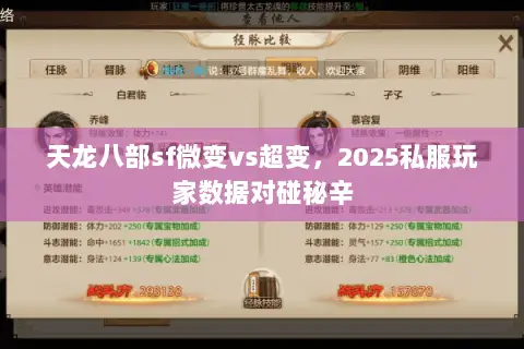 天龙八部sf微变vs超变,2025私服玩家数据对碰秘辛 天龙八部sf微变vs超变,2025私服玩家数据对碰秘辛