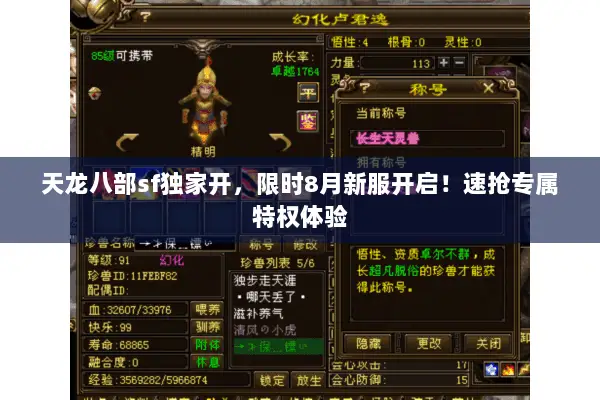 天龙八部sf独家开，限时8月新服开启！速抢专属特权体验