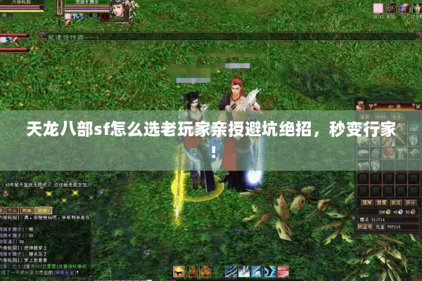 天龙八部sf怎么选老玩家亲授避坑绝招，秒变行家！