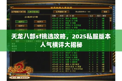 天龙八部sf挑选攻略，2025私服版本人气横评大揭秘