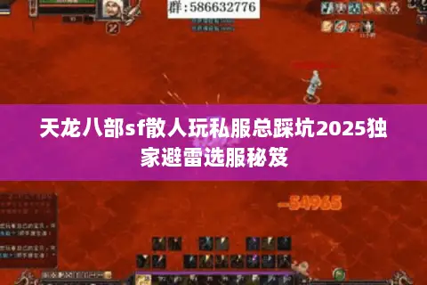 天龙八部sf散人玩私服总踩坑2025独家避雷选服秘笈
