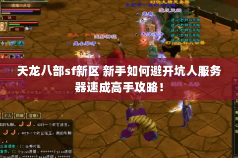 天龙八部sf新区 新手如何避开坑人服务器速成高手攻略！