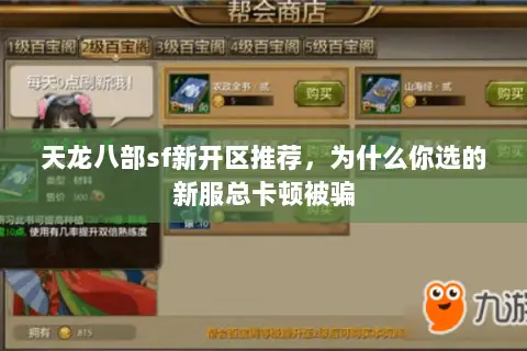 天龙八部sf新开区推荐，为什么你选的新服总卡顿被骗