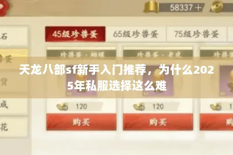 天龙八部sf新手入门推荐,为什么2025年私服选择这么难 天龙八部sf新手入门推荐,为什么2025年私服选择这么难