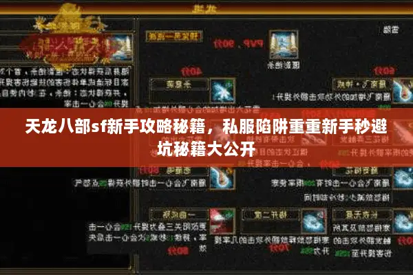 天龙八部sf新手攻略秘籍,私服陷阱重重新手秒避坑秘籍大公开 天龙八部sf新手攻略秘籍,私服陷阱重重新手秒避坑秘籍大公开