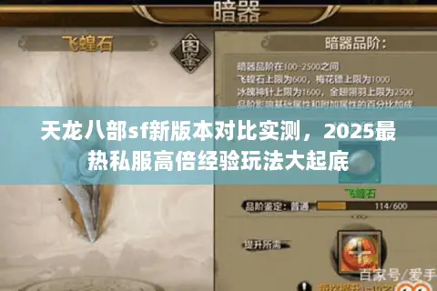 天龙八部sf新版本对比实测,2025最热私服高倍经验玩法大起底 天龙八部sf新版本对比实测,2025最热私服高倍经验玩法大起底