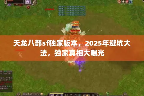天龙八部sf独家版本，2025年避坑大法，独家真相大曝光