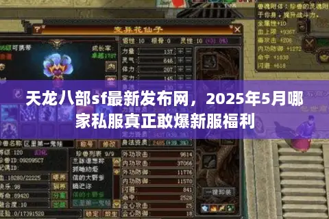 天龙八部sf最新发布网，2025年5月哪家私服真正敢爆新服福利