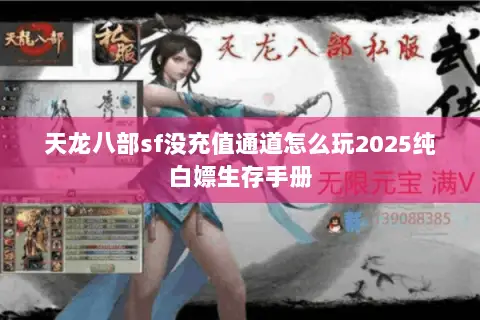 天龙八部sf没充值通道怎么玩2025纯白嫖生存手册