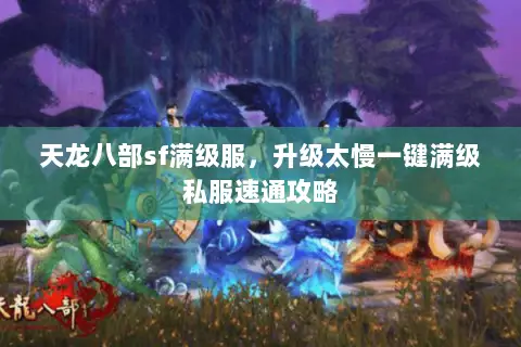 天龙八部sf满级服,升级太慢一键满级私服速通攻略 天龙八部sf满级服,升级太慢一键满级私服速通攻略