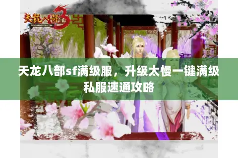 天龙八部sf满级服,升级太慢一键满级私服速通攻略 天龙八部sf满级服,升级太慢一键满级私服速通攻略