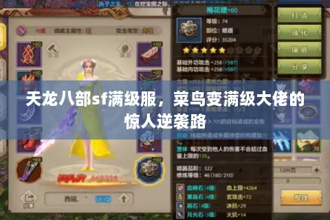 天龙八部sf满级服,菜鸟变满级大佬的惊人逆袭路 天龙八部sf满级服,菜鸟变满级大佬的惊人逆袭路