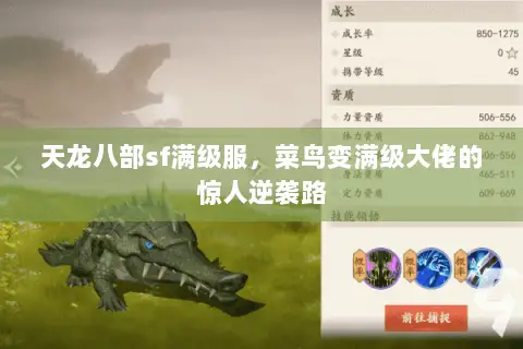 天龙八部sf满级服,菜鸟变满级大佬的惊人逆袭路 天龙八部sf满级服,菜鸟变满级大佬的惊人逆袭路