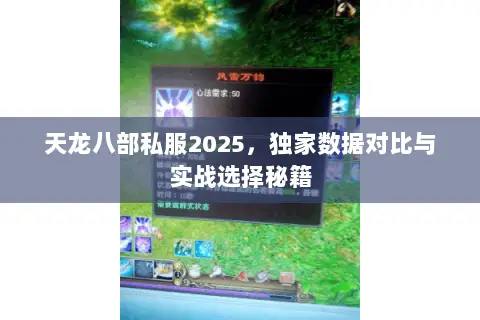 天龙八部私服2025,独家数据对比与实战选择秘籍 天龙八部私服2025,独家数据对比与实战选择秘籍