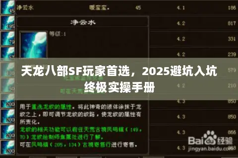 天龙八部SF玩家首选,2025避坑入坑终极实操手册 天龙八部SF玩家首选,2025避坑入坑终极实操手册