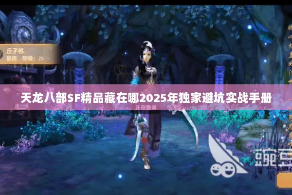 天龙八部SF精品藏在哪2025年独家避坑实战手册