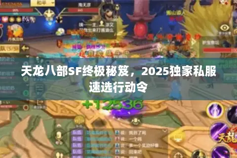 天龙八部SF终极秘笈,2025独家私服速选行动令 天龙八部SF终极秘笈,2025独家私服速选行动令