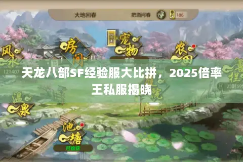 天龙八部SF经验服大比拼,2025倍率王私服揭晓 天龙八部SF经验服大比拼,2025倍率王私服揭晓