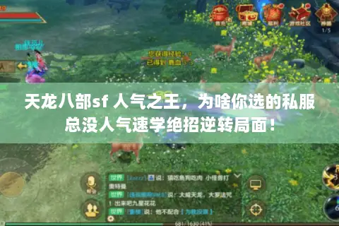 天龙八部sf 人气之王，为啥你选的私服总没人气速学绝招逆转局面！