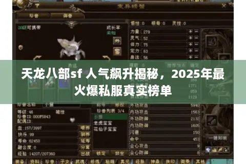 天龙八部sf 人气飙升揭秘，2025年最火爆私服真实榜单