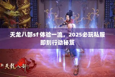天龙八部sf 体验一流，2025必玩私服即刻行动秘笈