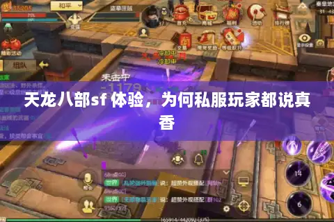 天龙八部sf 体验,为何私服玩家都说真香 天龙八部sf 体验,为何私服玩家都说真香