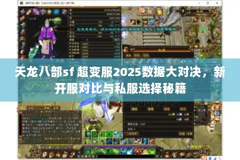 天龙八部sf 超变服2025数据大对决,新开服对比与私服选择秘籍 天龙八部sf 超变服2025数据大对决,新开服对比与私服选择秘籍