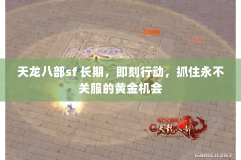 天龙八部sf 长期，即刻行动，抓住永不关服的黄金机会
