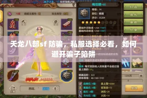天龙八部sf 防骗,私服选择必看,如何避开骗子陷阱 天龙八部sf 防骗,私服选择必看,如何避开骗子陷阱