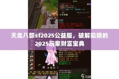 天龙八部sf2025公益服，破解陷阱的2025玩家财富宝典