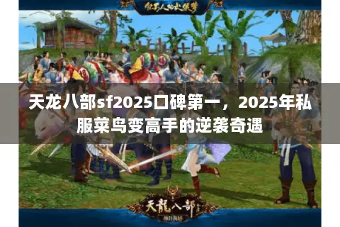 天龙八部sf2025口碑第一,2025年私服菜鸟变高手的逆袭奇遇 天龙八部sf2025口碑第一,2025年私服菜鸟变高手的逆袭奇遇
