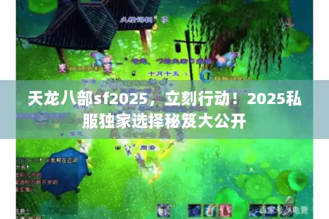 天龙八部sf2025，立刻行动！2025私服独家选择秘笈大公开