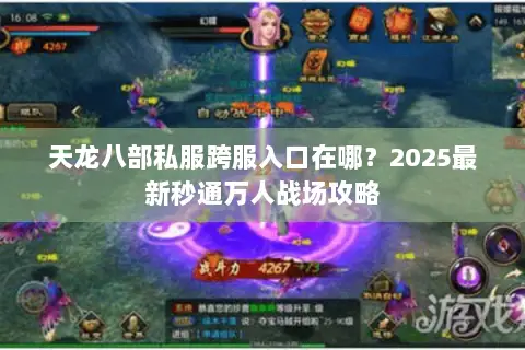 天龙八部私服跨服入口在哪？2025最新秒通万人战场攻略