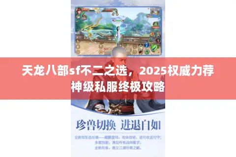 天龙八部sf不二之选，2025权威力荐神级私服终极攻略