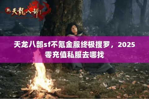 天龙八部sf不氪金服终极搜罗,2025零充值私服去哪找 天龙八部sf不氪金服终极搜罗,2025零充值私服去哪找