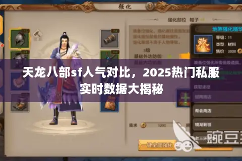 天龙八部sf人气对比，2025热门私服实时数据大揭秘