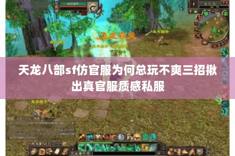 天龙八部sf仿官服为何总玩不爽三招揪出真官服质感私服
