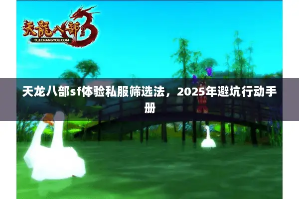 天龙八部sf体验私服筛选法，2025年避坑行动手册