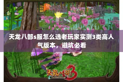 天龙八部s服怎么选老玩家实测3类高人气版本,避坑必看 天龙八部s服怎么选老玩家实测3类高人气版本,避坑必看