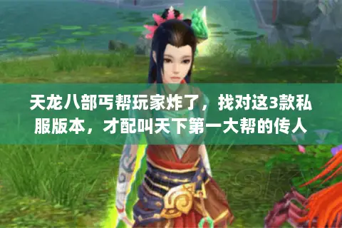 天龙八部丐帮玩家炸了，找对这3款私服版本，才配叫天下第一大帮的传人