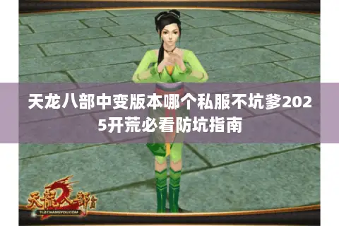 天龙八部中变版本哪个私服不坑爹2025开荒必看防坑指南 天龙八部中变版本哪个私服不坑爹2025开荒必看防坑指南