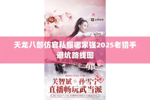 天龙八部仿官私服哪家强2025老猎手避坑路线图